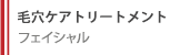 毛穴ケアトリートメント　フェイシャル